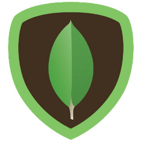 Manejo de base de datos Mongodb